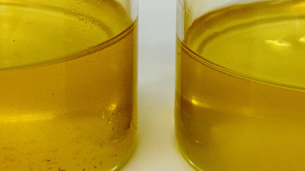 ROCACOSフィルターの検証をしました